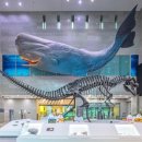 수학아놀자 이미지