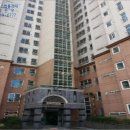 진흥 에이스 이미지