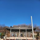 스테이나라 | 서울 천년고찰 봉은사 템플스테이 코엑스 근처 방문 후기