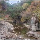 꽃피는민박 이미지