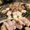 500돈 | 둔산동 회식 장소로 추천하는 대전 삼겹살 맛집 오백돈