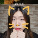 보보스안경원 이미지