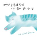 살롱드비건(SALON DE VEGAN)
