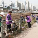 기흥동 행정복지센터 이미지