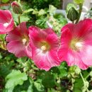 덕인주유소 이미지