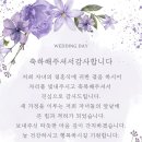 힌스냅 | [웨딩/결혼 준비] 힌스냅(아이폰스냅) 내돈내산 추천 후기