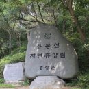 용봉산자연휴양림 이미지