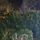 영재농장 이미지