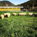 해상농장 이미지