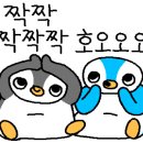 더(The)봄헤어