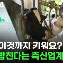 판교축산 이미지