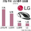 LG Display(주)