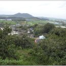 마산초장 이미지