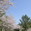 천제연약국 이미지