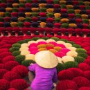 향촌마을 이미지