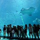 한라태권도 5관 이미지