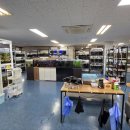 젊은열대어 이미지