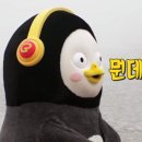 평촌하나법학원 이미지