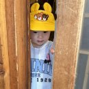 세종삼복낙지 이미지