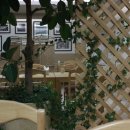 양덕동249 이미지