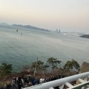 스카이애견 이미지