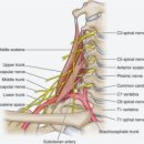 나리뷰티 이미지