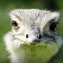 용인효민요양원 이미지