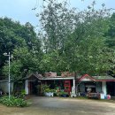 옛날보리집 | 파주 출렁다리 맛집 보리굴비집 내돈내산 후기