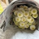 화훼장식기능사 이미지