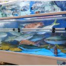 제주동문수산시장 이미지