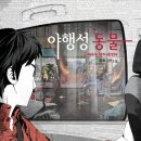 야행성 이미지