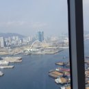 쩡옥이네 이미지