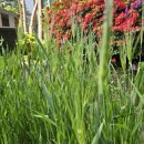 동부(아)경로당 | 고촌어린이집 찾다 마음이 놓였던 곳! 아이친구어린이집 이야기