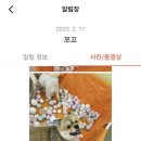 쪼꼬네유치원2 이미지