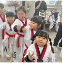 용인대MTA태권도장 이미지