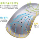 더스타일바디 이미지