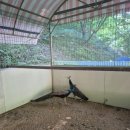 대둔산농장 | 대둔산캠핑랜드✨ 세종인근 당일캠핑 다녀온 후기