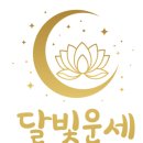 원카페 사주엔 타로 | 전화타로 신점 타로 사주 카페 달빛운세 하반기 사주본 후기!