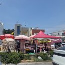 두아줌마고기마을 | [내돈내산리뷰] 부산 기장 대변항 먹거리, 영주아줌마 오징어구이 솔직 후기