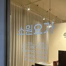 삼성중앙역요가 소원요가 삼성 골반테라피 후기
