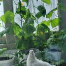 현모농장 이미지