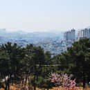 오륜대로 이미지