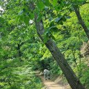 수타계곡 돌집민박 | 6월 넷째주의 추천 여행지(1): 홍천 수타사계곡과 수타사 산소길 - 홍천을 대표하는 시원한 계곡길을 걷다