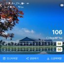 가야 CC | [골프] 김해 가야CC 라운딩 후기 (가락·신어 코스)