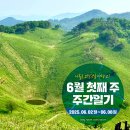 2025년 6월 째 주 주간일기