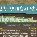 신장천 인공습지 이미지