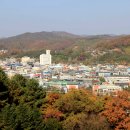 괴산교~제2괴산교 이미지