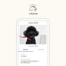 그루밍리본 이미지