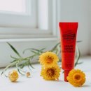 만능효소 | 온 가족 상비템! 포포오리지날 밤 후기 | 모기물린데부터 입술까지 다 되는 만능 연고