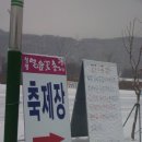 2011.01.14 청평송어축제 3번째 이야기 (송어10마리) 이미지